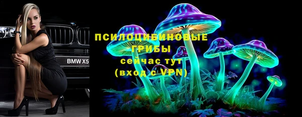 стаф Вяземский