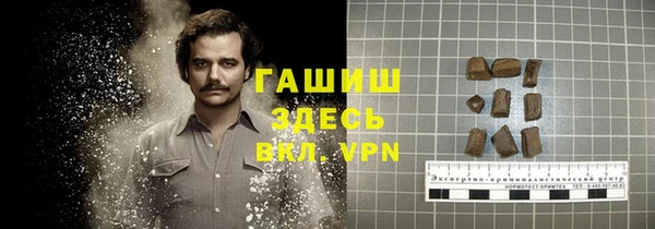 стаф Вяземский